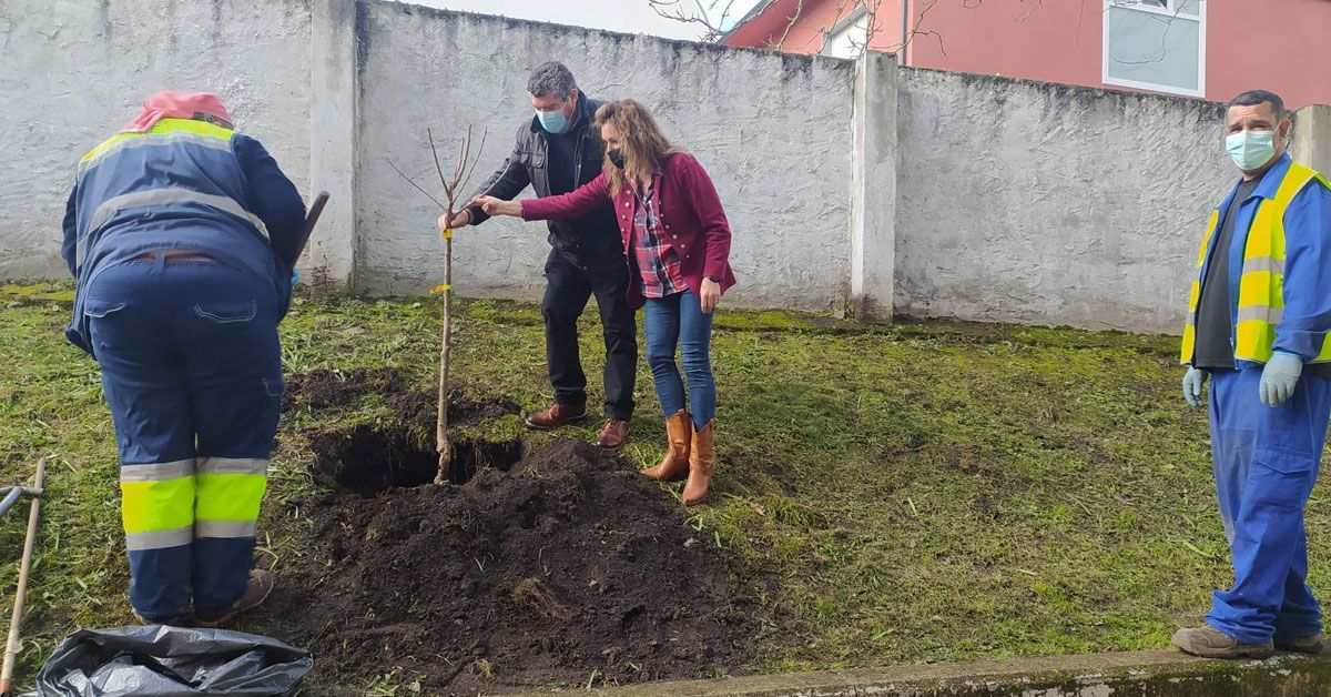 plantacion arbores burela