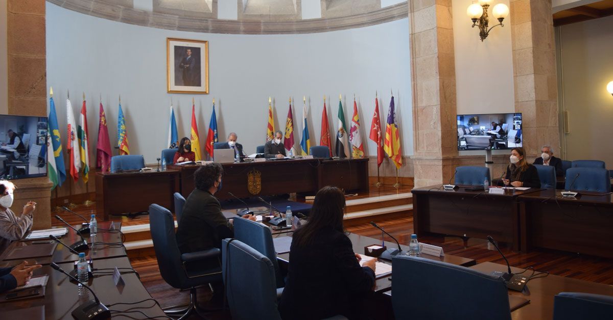 Pleno Consorcio de Bombeiros deputacion