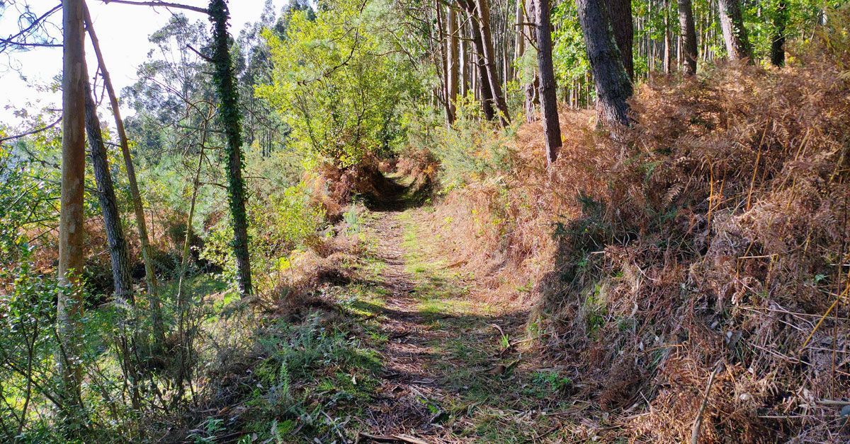 rutas mal estado BNG viveiro