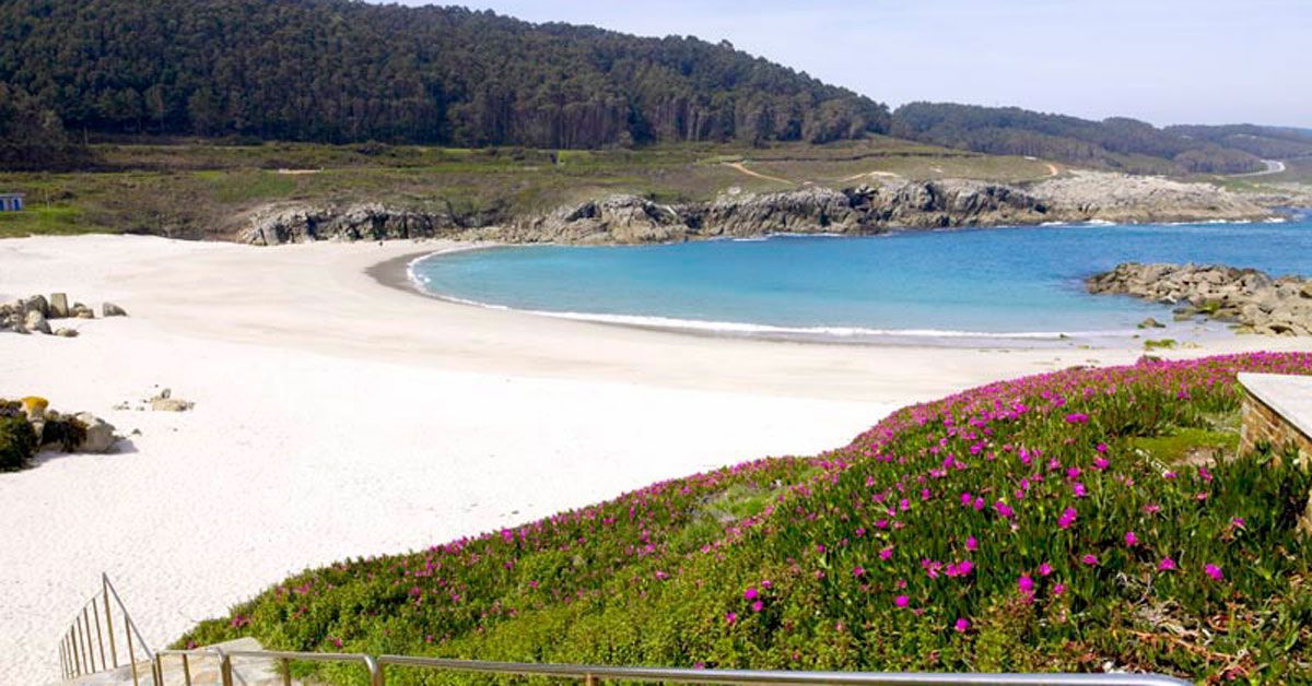 a marosa praia burela