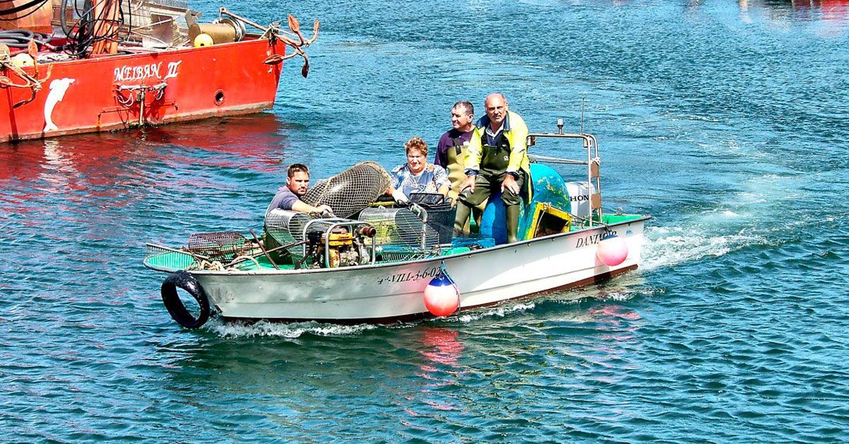 marisco pescadores