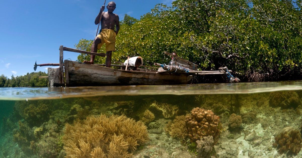 os nosos oceano exposicion