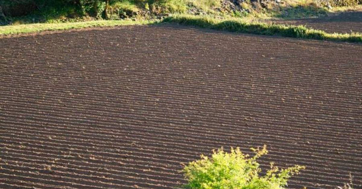 terras-agricolas-cultivos
