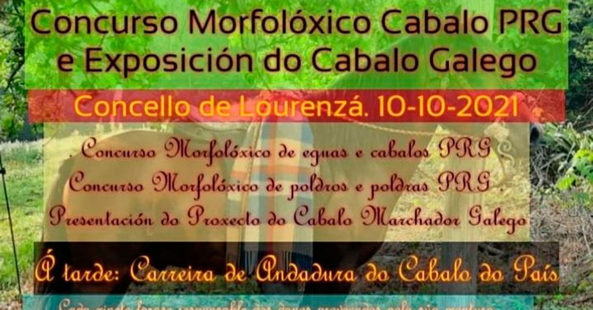 concurso morfoloxico cabalo loureza 1