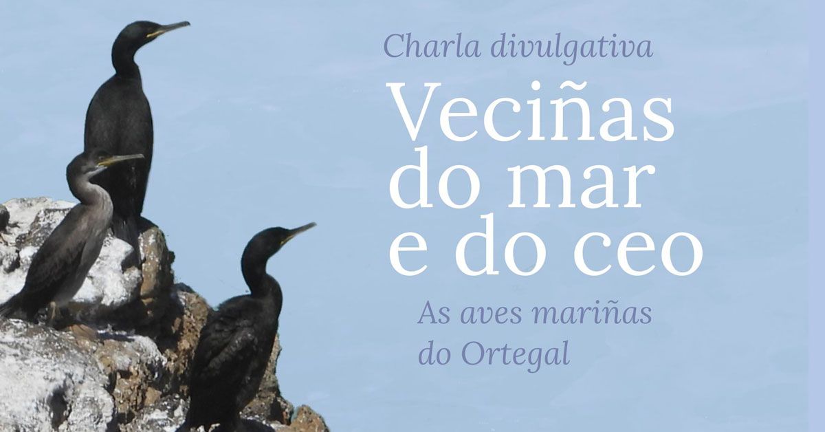 curso_ovicedo aves