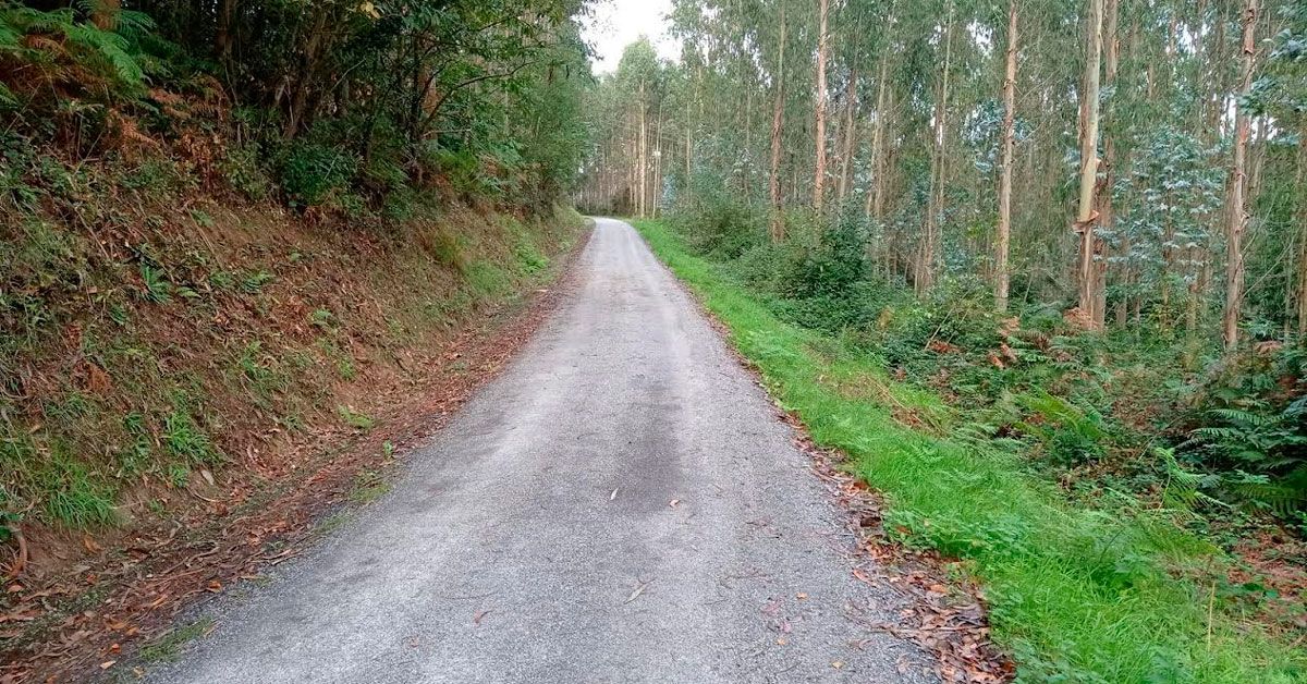 trabada melloras estradas de  PORTELA A VEIGA DESDE A LU P 6102 E DE VILAPERCIDE A CABANA