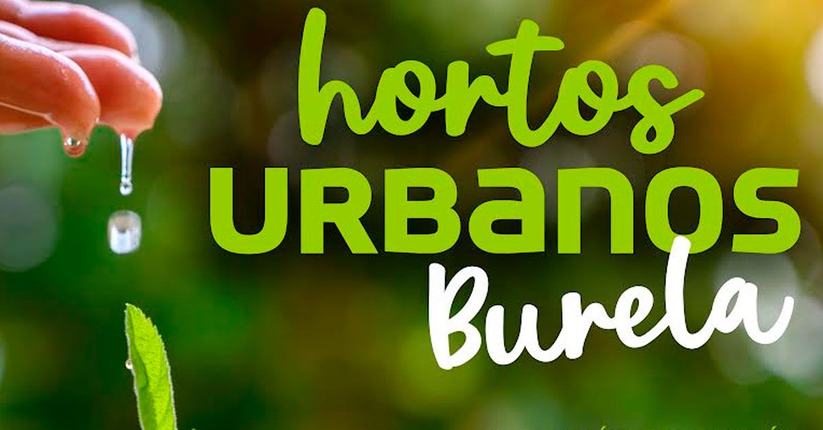 hortos urbanos burela 1