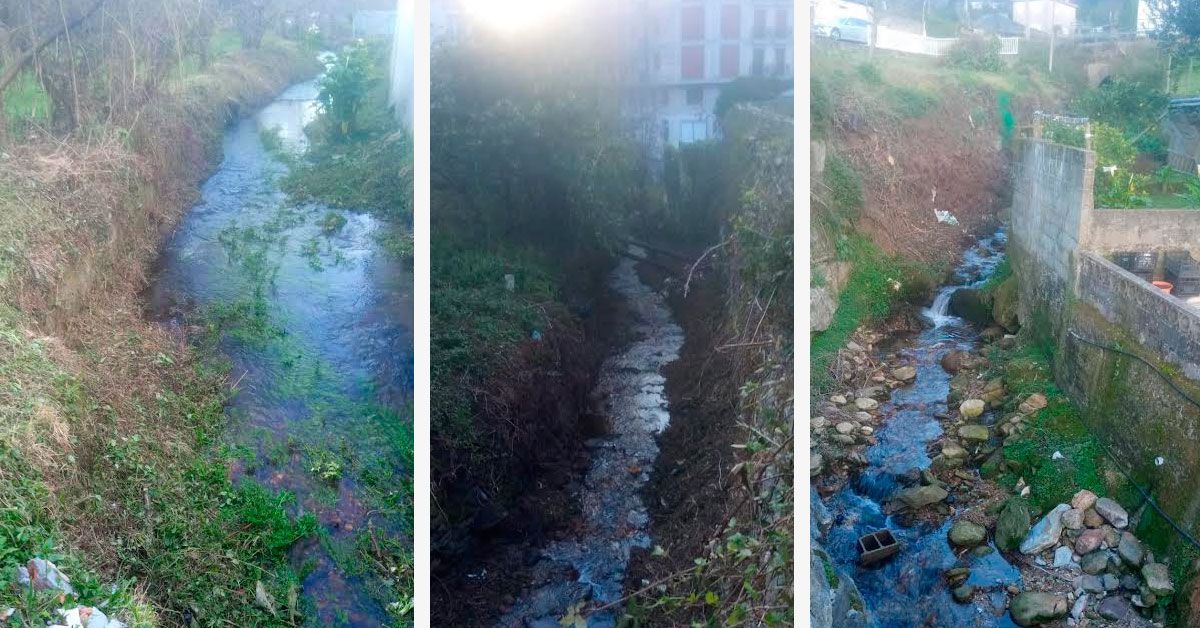 Viveiro limpeza rios municipio
