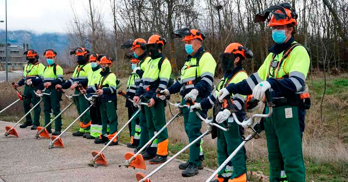 peon forestal traballo monte