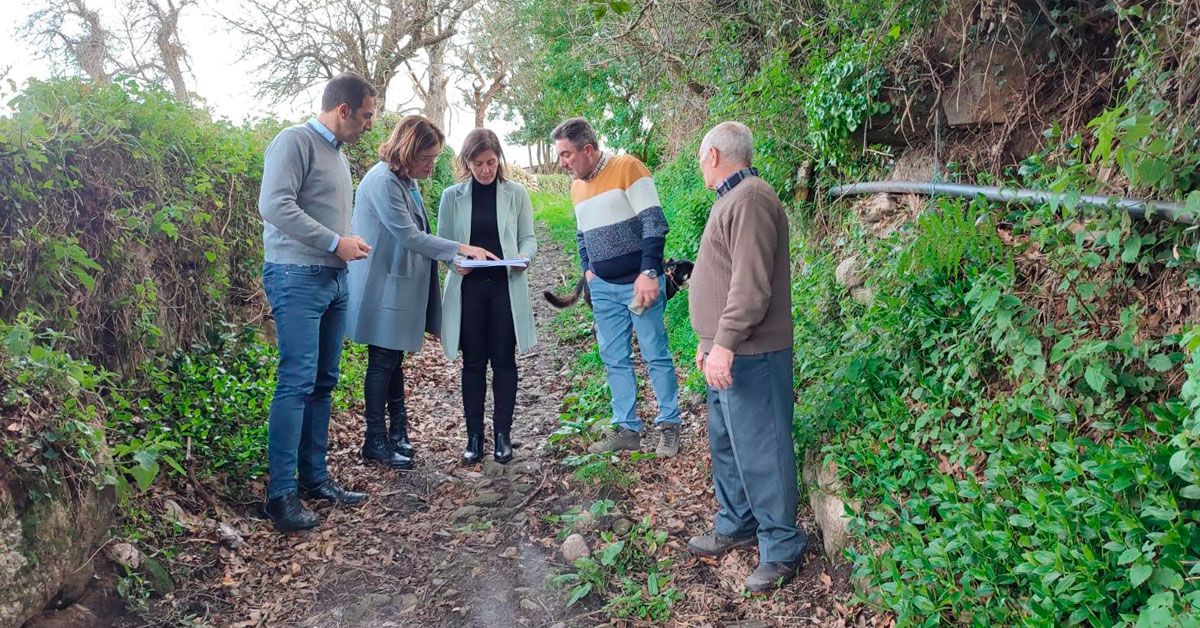 cervo nucleo Abrigo parroquia de rua