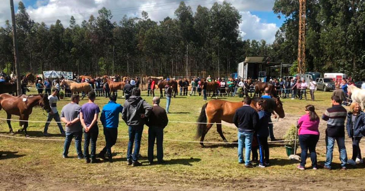 Feira-cabalar-medela-Xove-2019