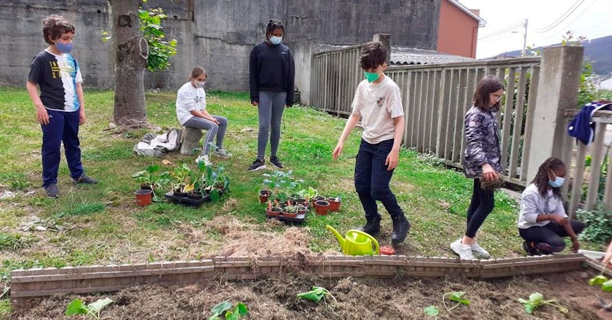 Burela Ceip Virxe do Carme planta un pequeno horto 1