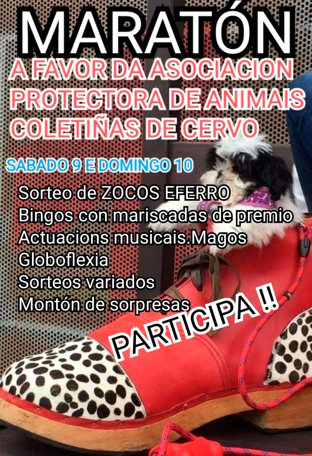 Asociacion Protectora de Animais Coletinas   Cervo