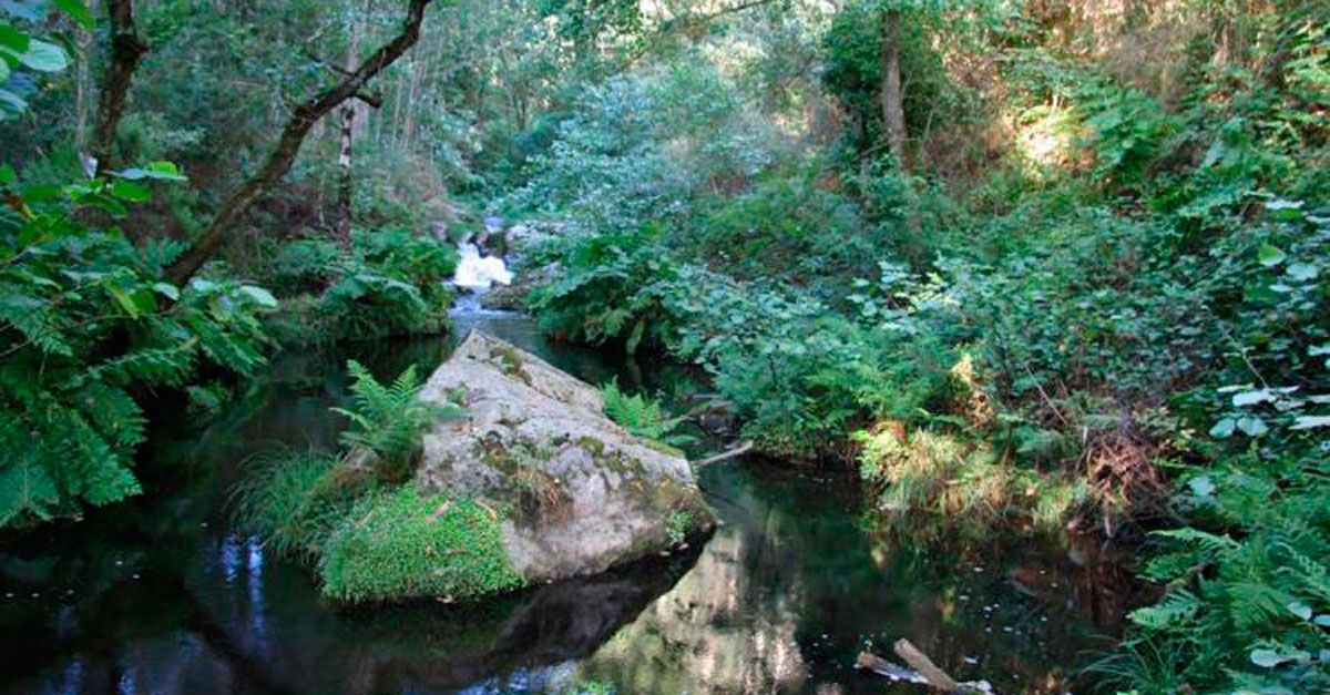 rio BALSADAS Sta Mariña Ourol (6)