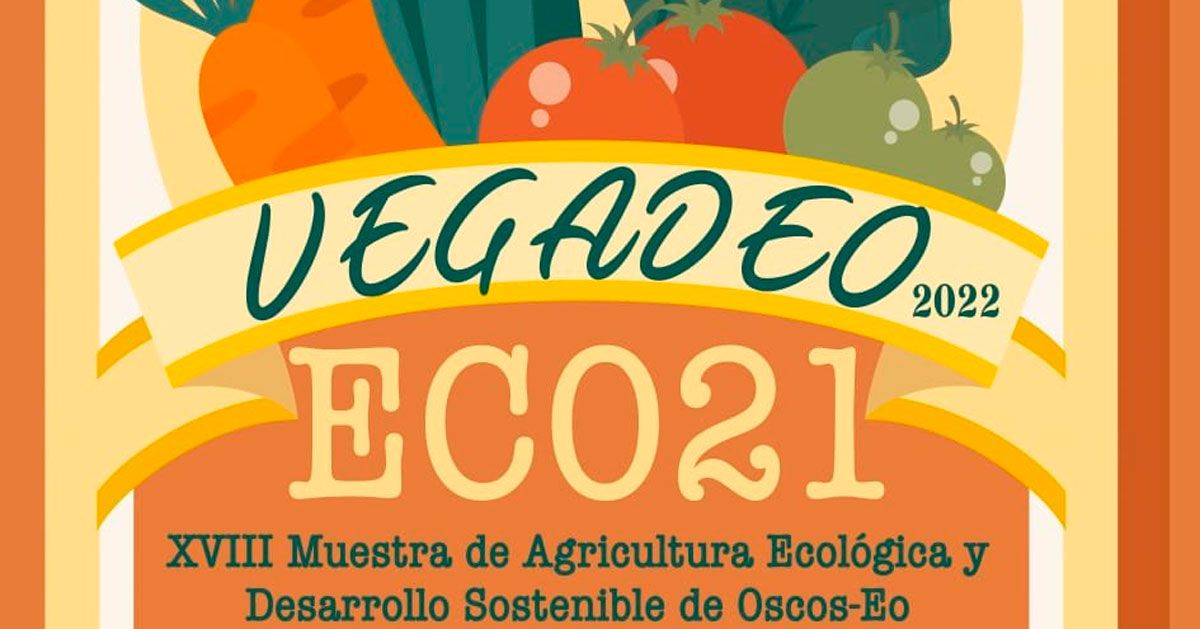 vegadeo eco 21 1