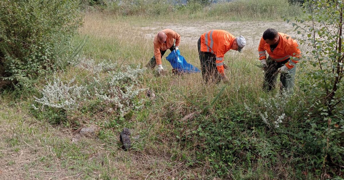 retirada especies invasoras aceas ribadeo