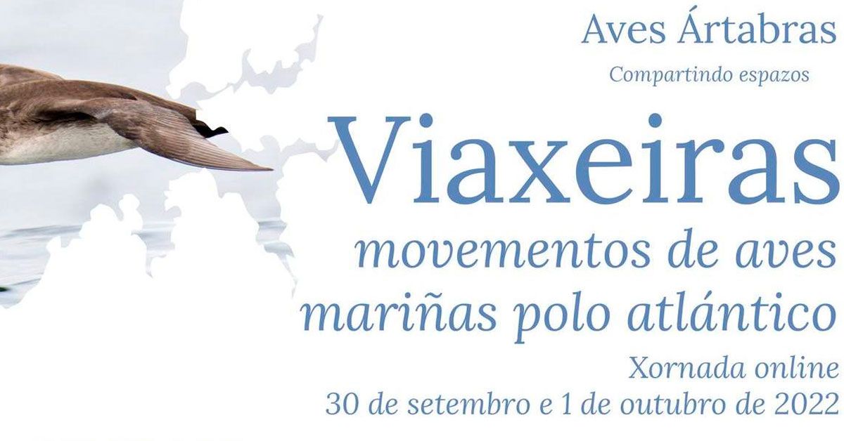 viaxeiras movementos aves vicedo 1