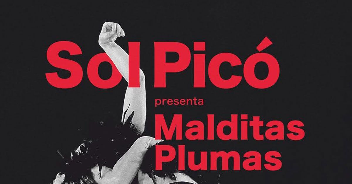 1 Sol pico malditas plumas ribadeo