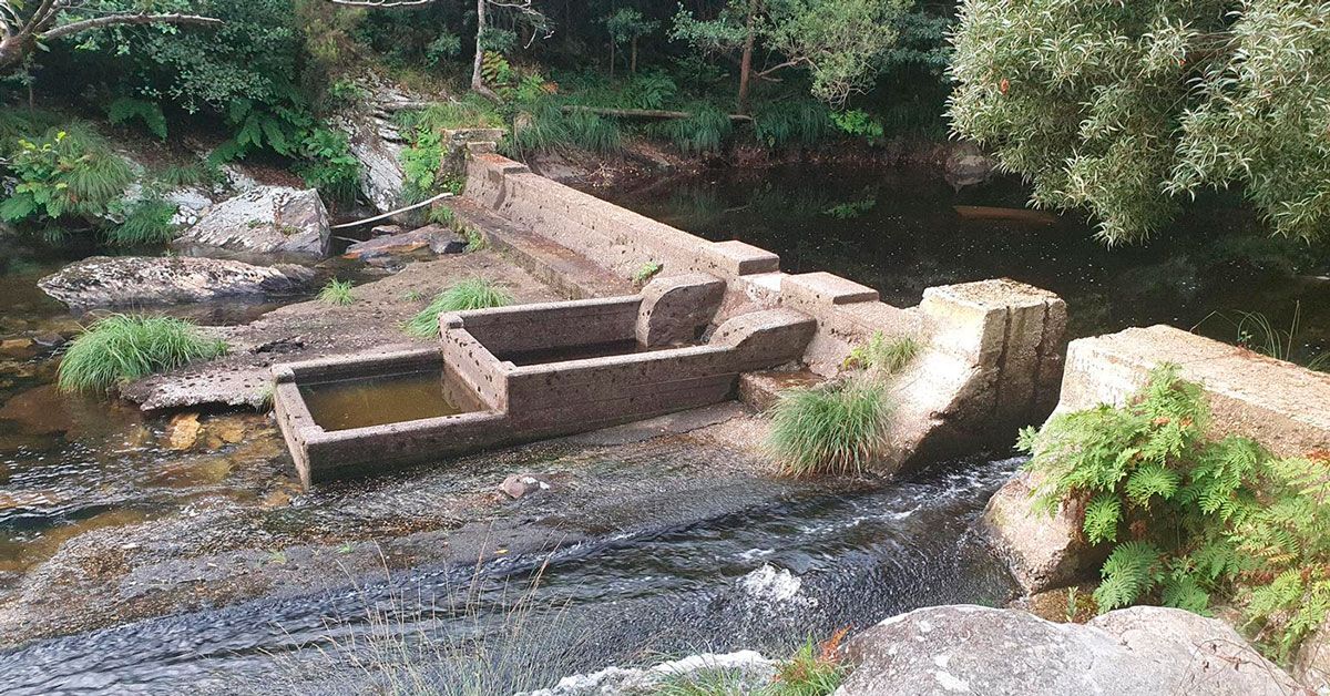 O Vicedo Ruta de Morgallón e río Sor