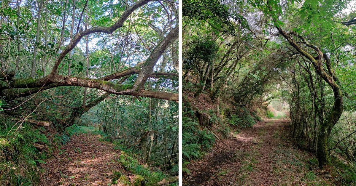 trabada acceso ruta sendeirimo fraga da vilapena