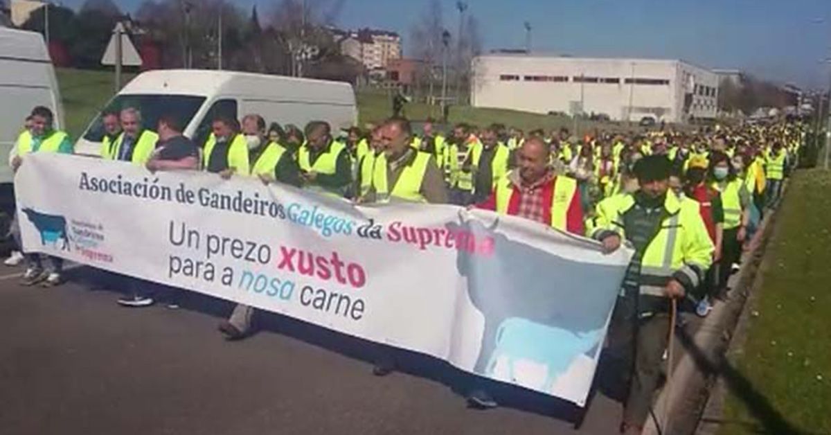 marcha suprema gandeiros lugo