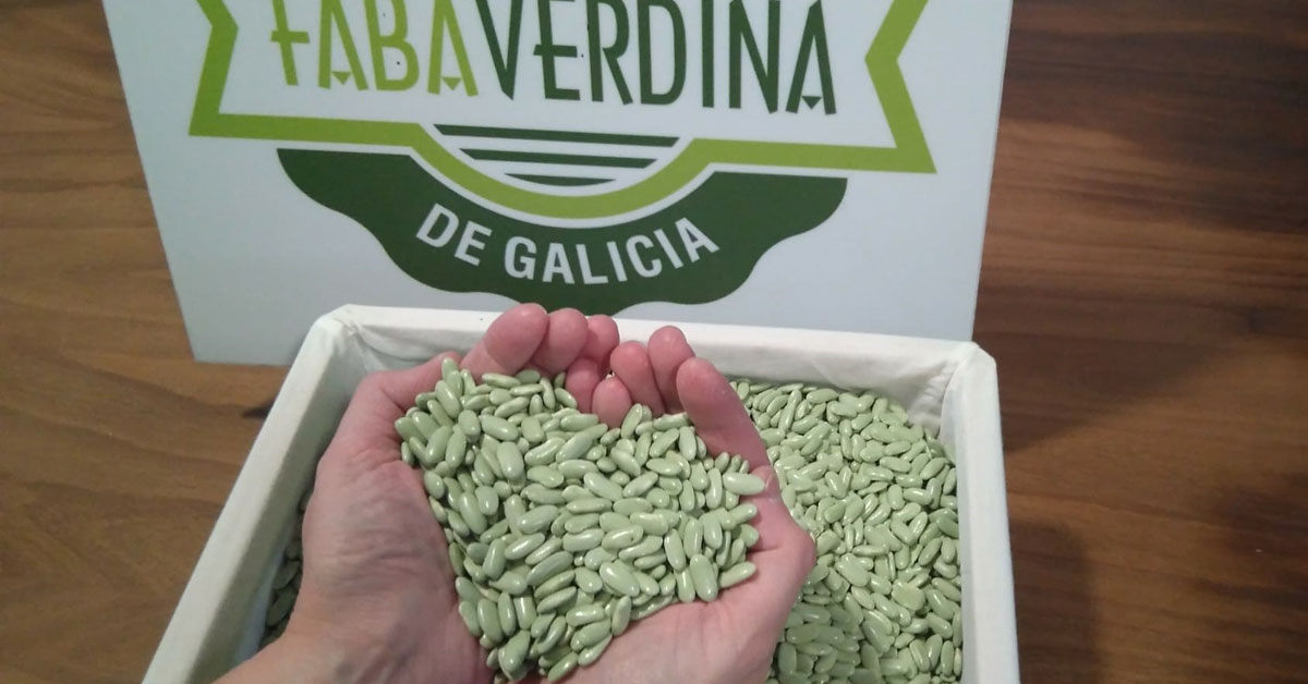 Faba Verdina de Galicia