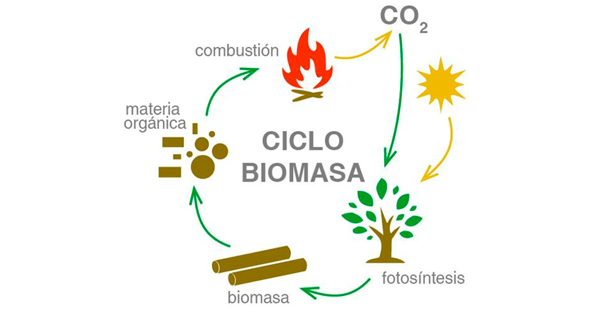 biomasa ciclo combustion