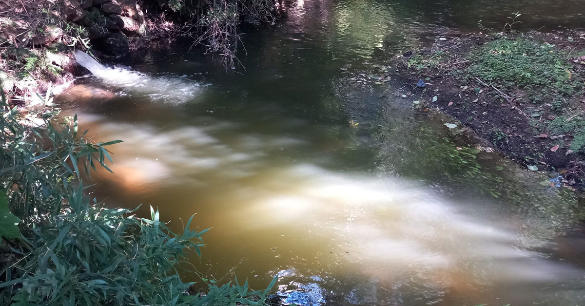 bng cervo verquidos rio covo 2