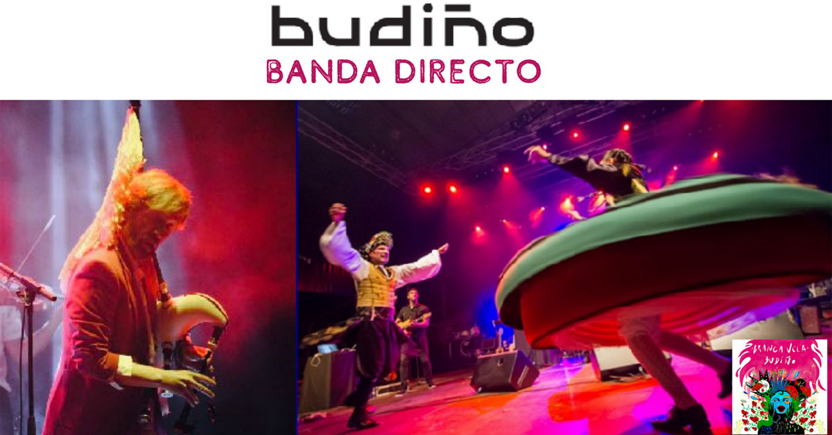 budino presentacion