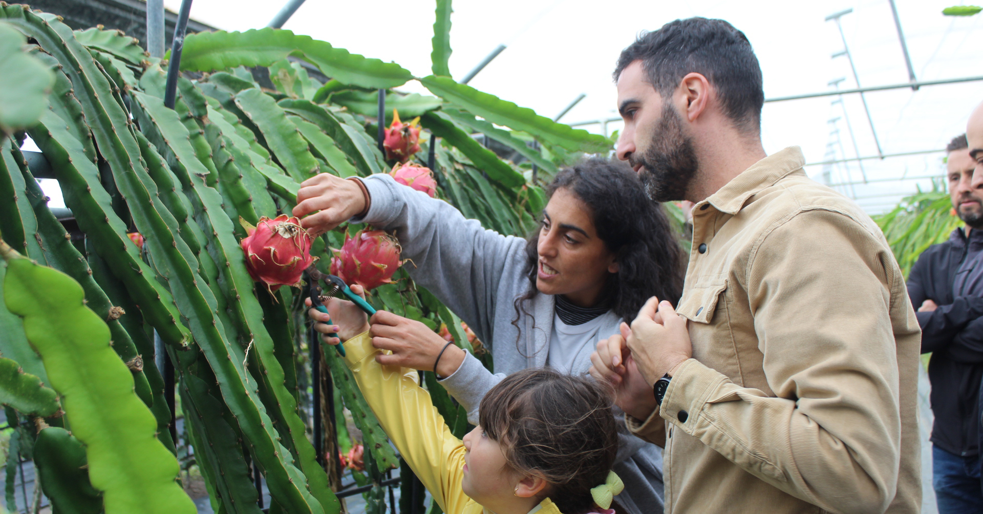 CEIP San Cosme de Barreiros visitaron Tropic Gaia co programa “Da Escola á Granxa”