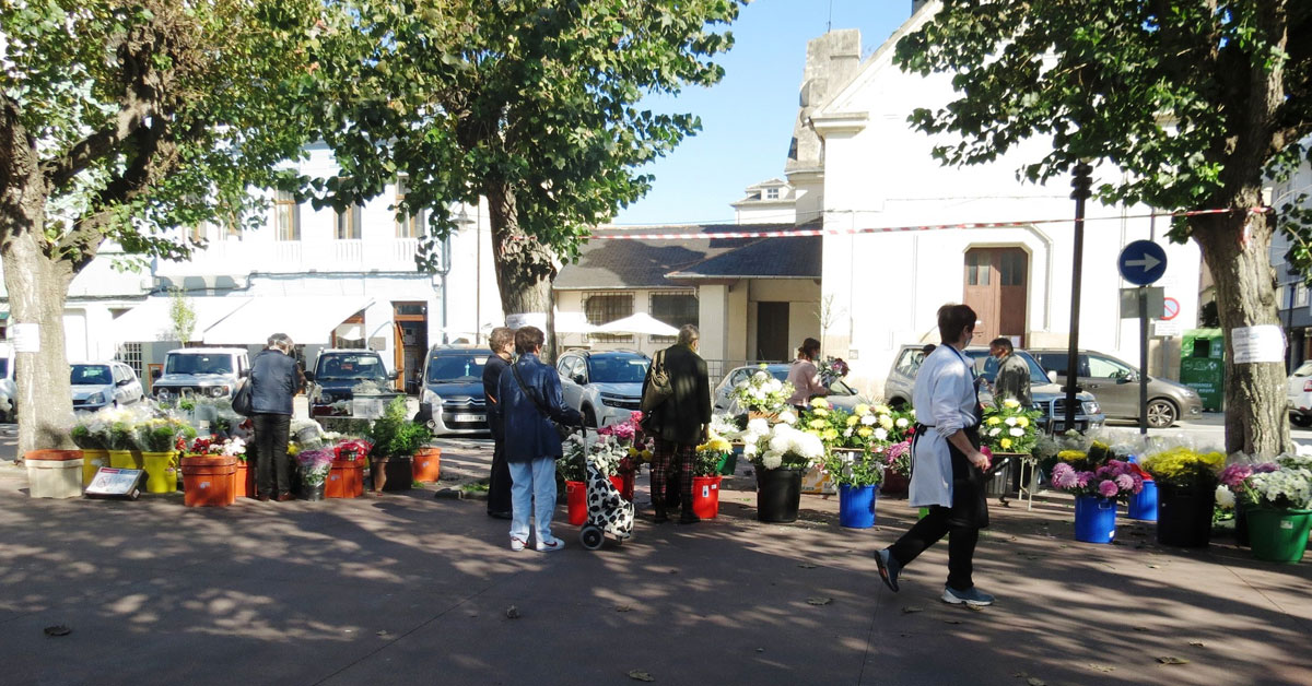 mercado flores ribadeo 