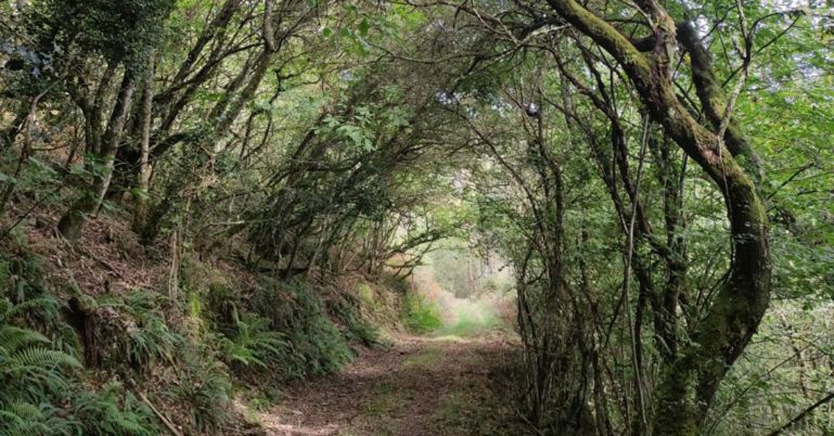 RUTA FRAGA VILAPENA trabada