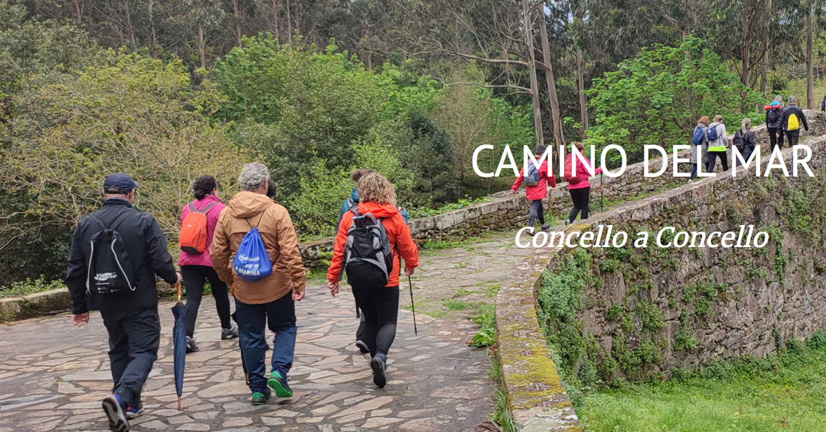 camino mar foto