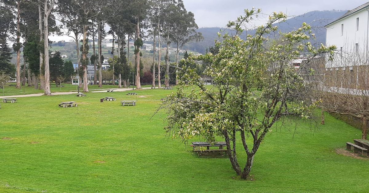 parque pernas peon