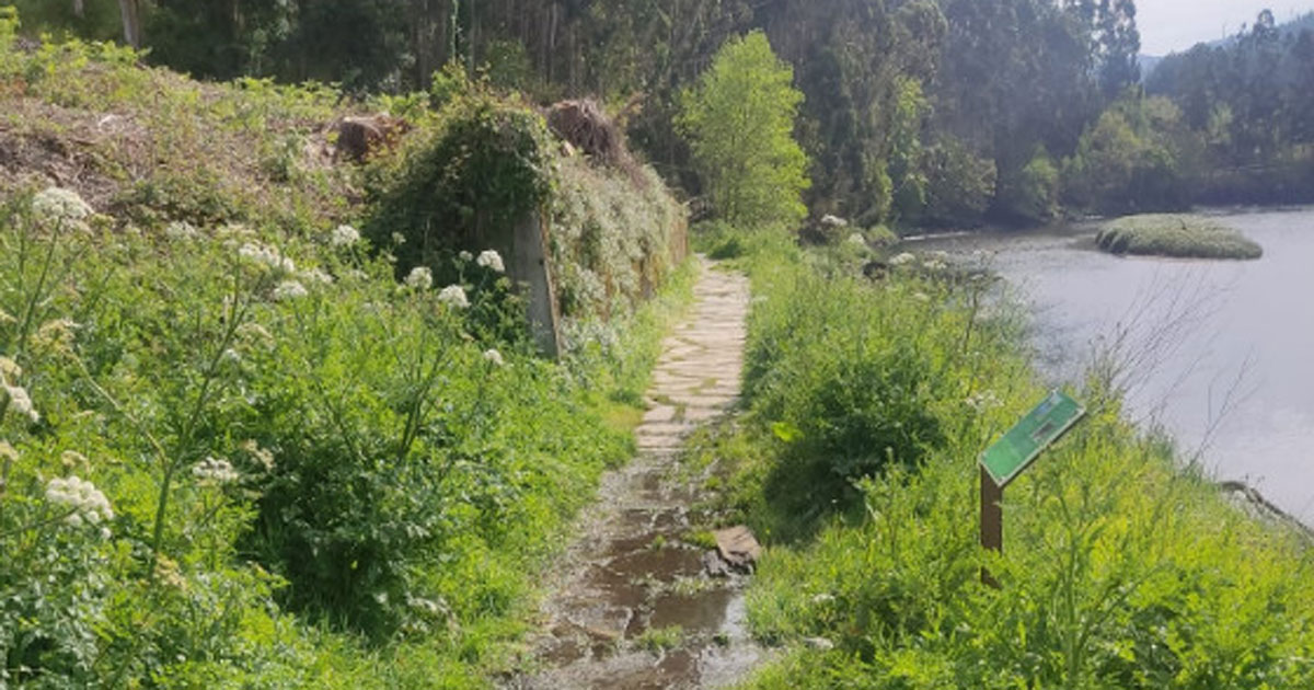 Paseo fluvial Viveiro