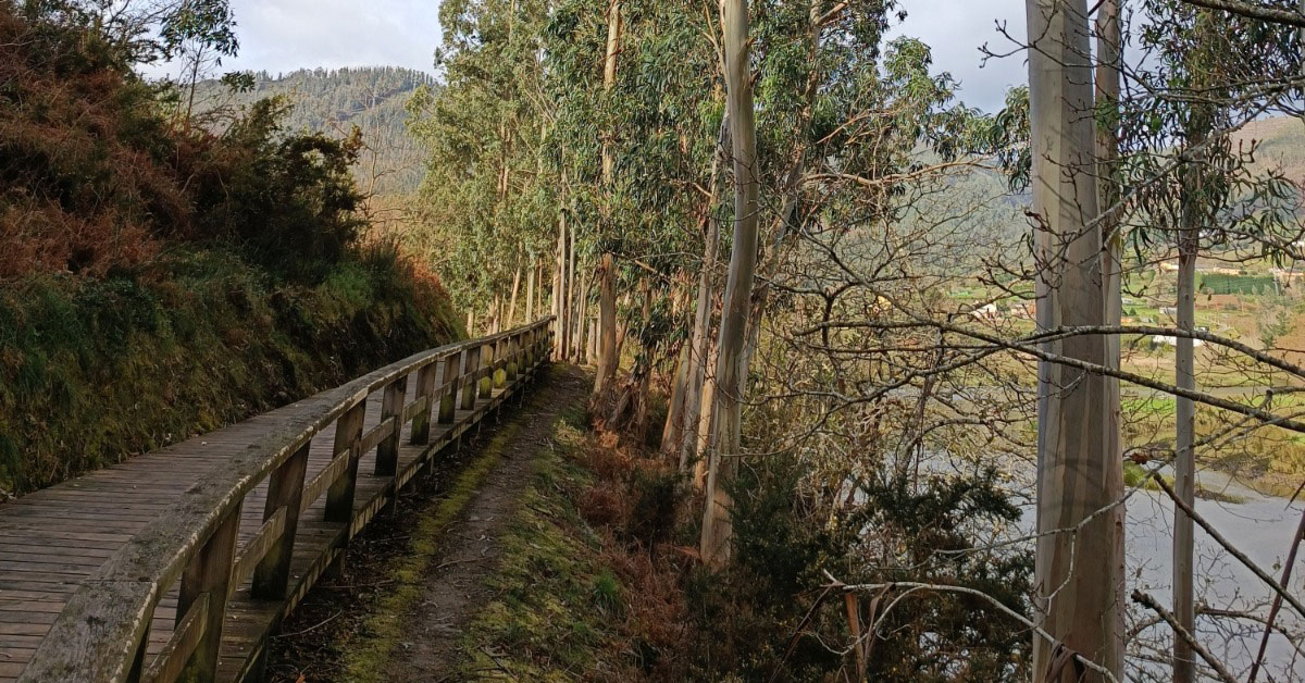 paseo_fluvial_viveiro