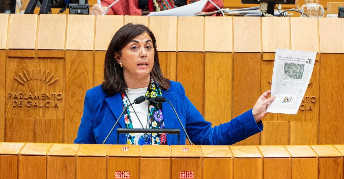 Elena-Candia-no-Pleno-parlamento