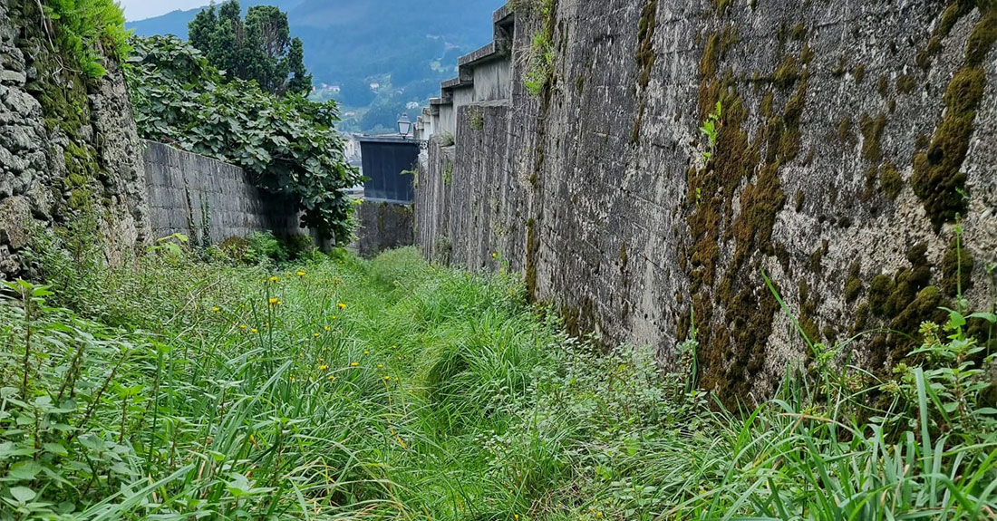 Entorno-cemiterio-municipal-Viveiro