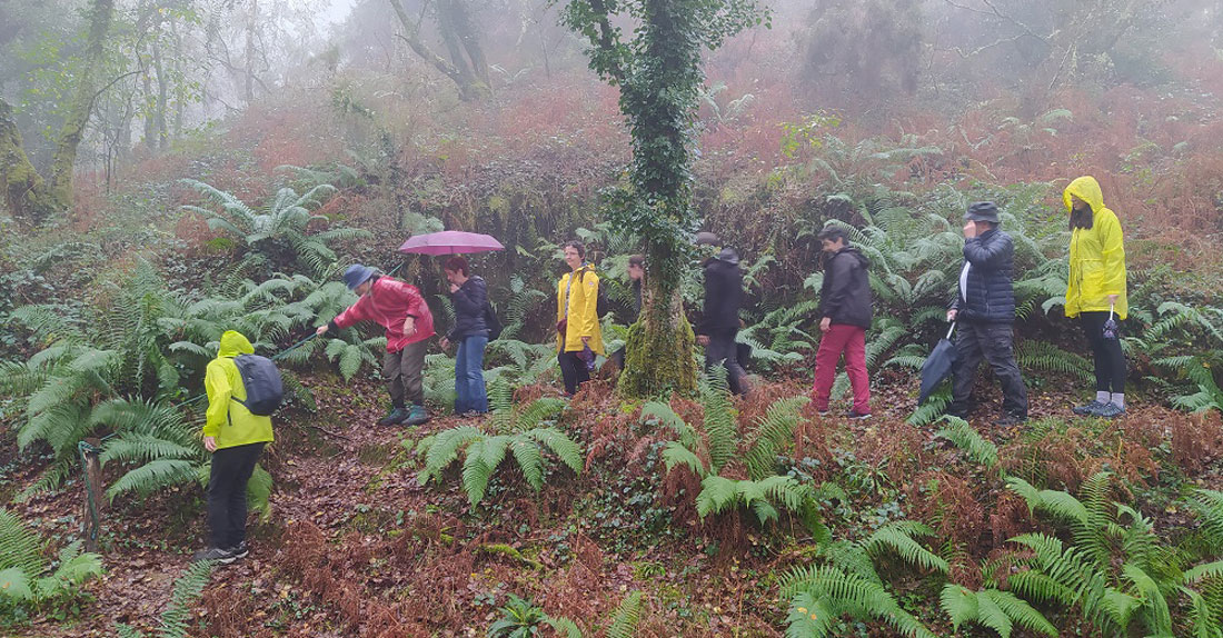 mancomunidade-Foto-ruta-Viveiro