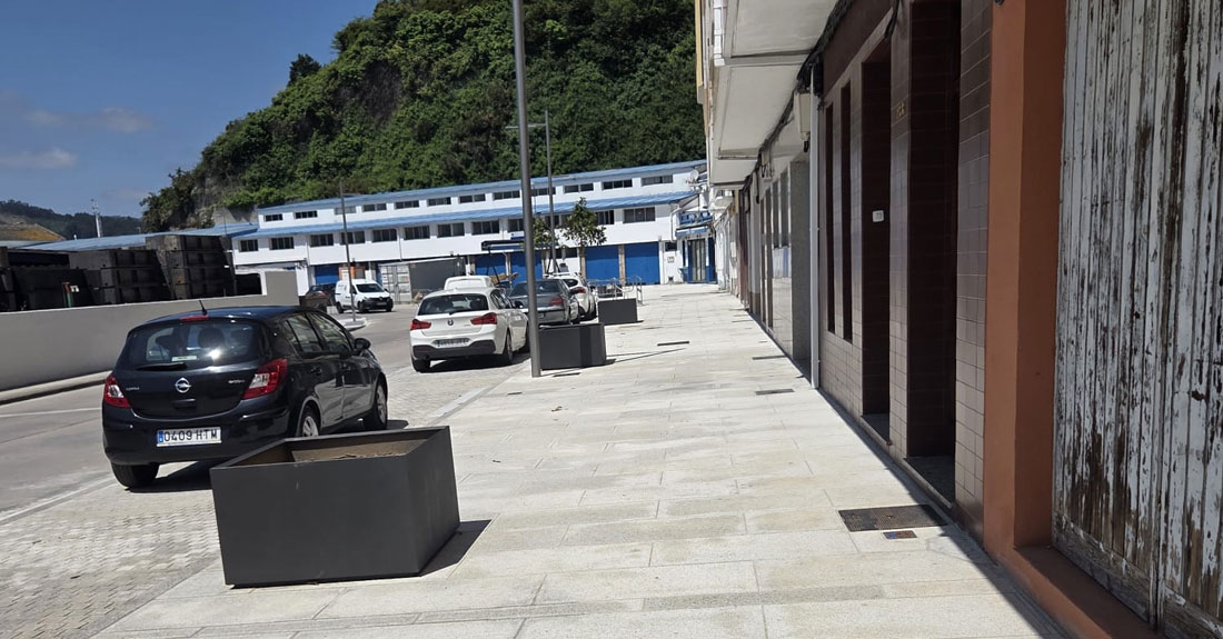 Viveiro-RUA-CELEIRO1