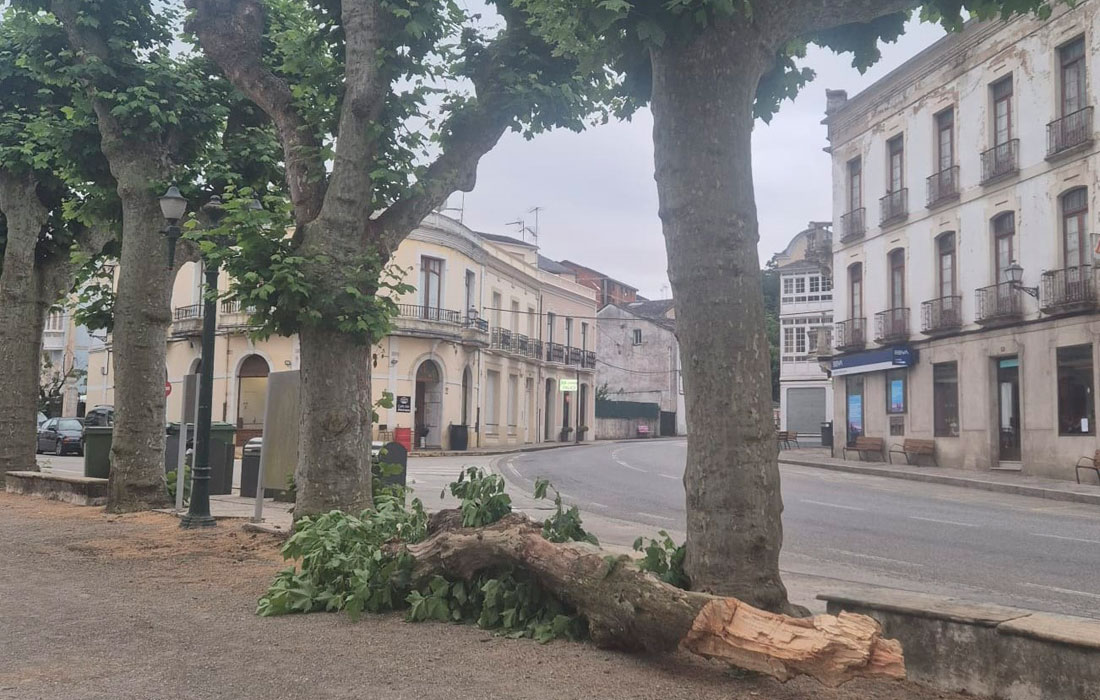 Lourenza-Rama-Platanaos-Canton-
