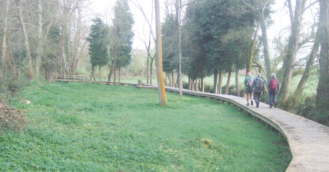 Pastoriza-Ruta-Maeloc-camino