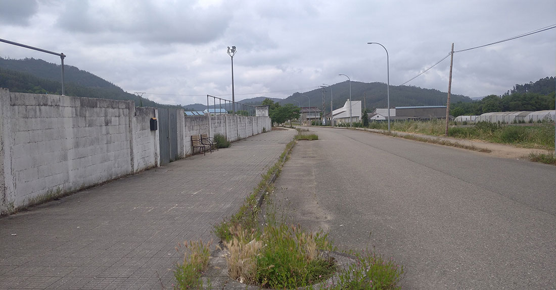 vinas-da-veiga-mondonedo-peticion-psoe-arboles-na-zona
