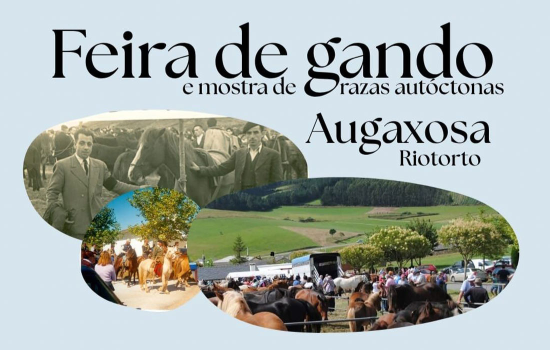RIOTORTO-Feira-de-gando-augaxosa