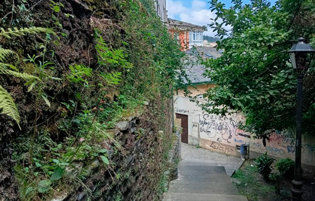 Viveiro-camino-Lois-Tobio-Quiexa-por-viveiro-2025