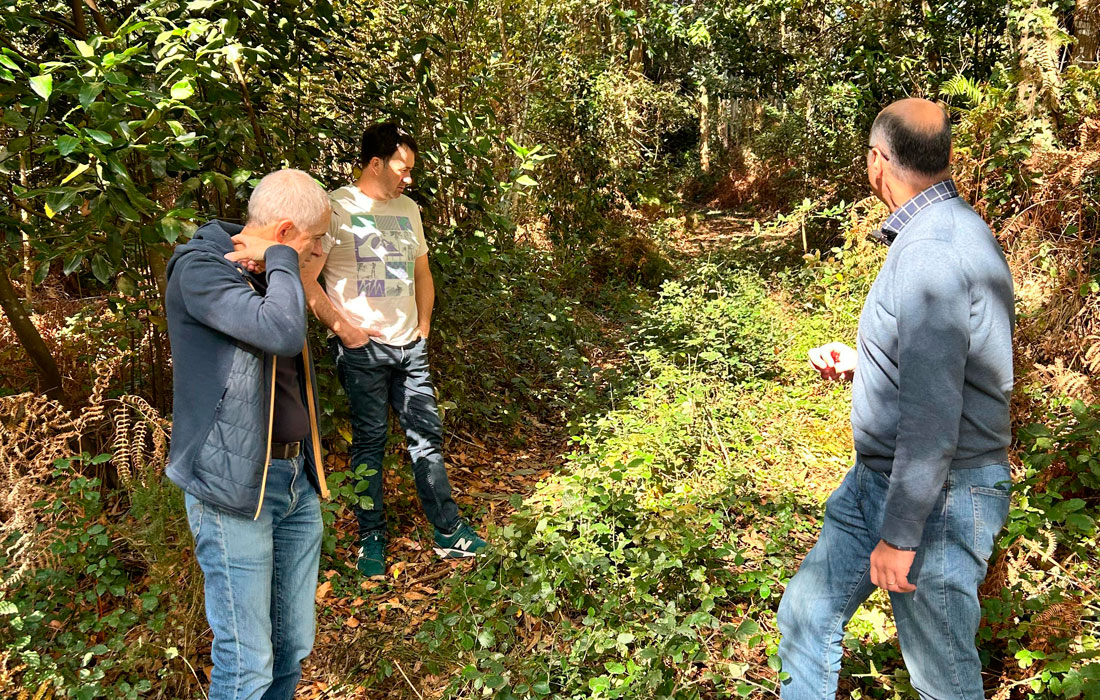 BNG-ausencia-de-limpeza-das-faixas-de-proteccion-2025