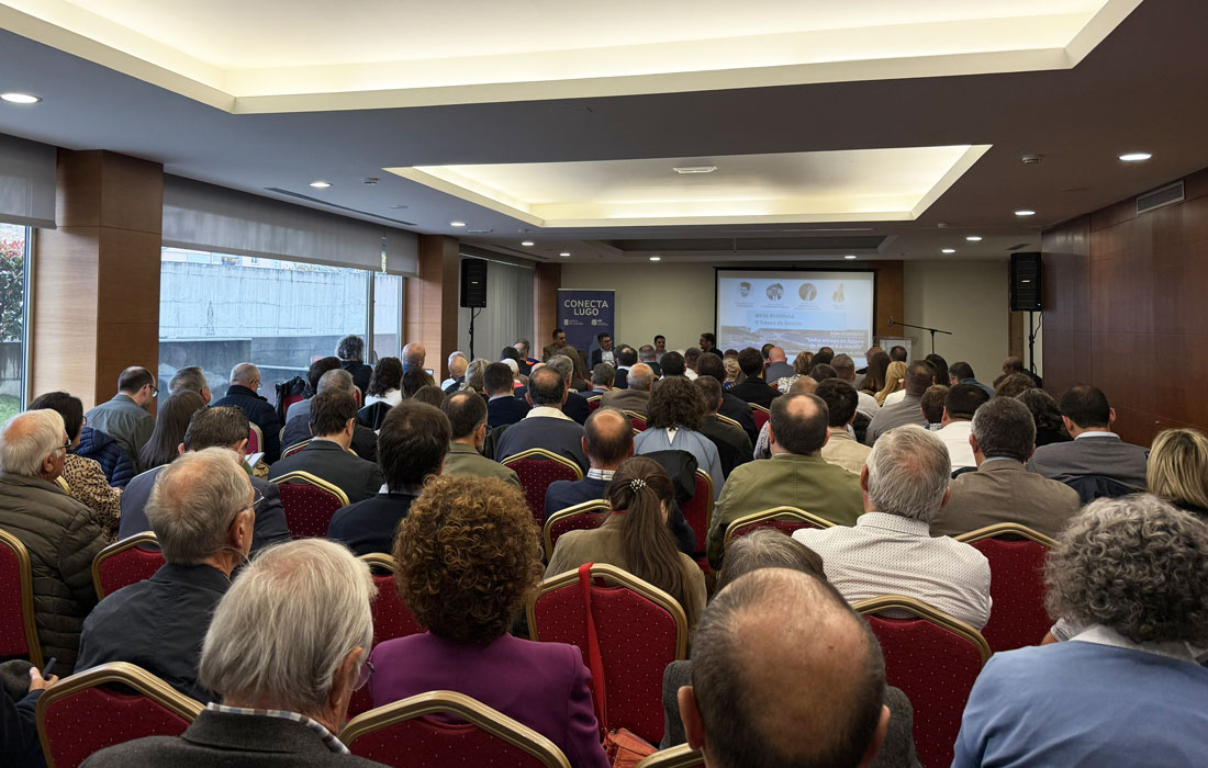 Foro-económico-CEL-e-Xunta-en-Viveiro