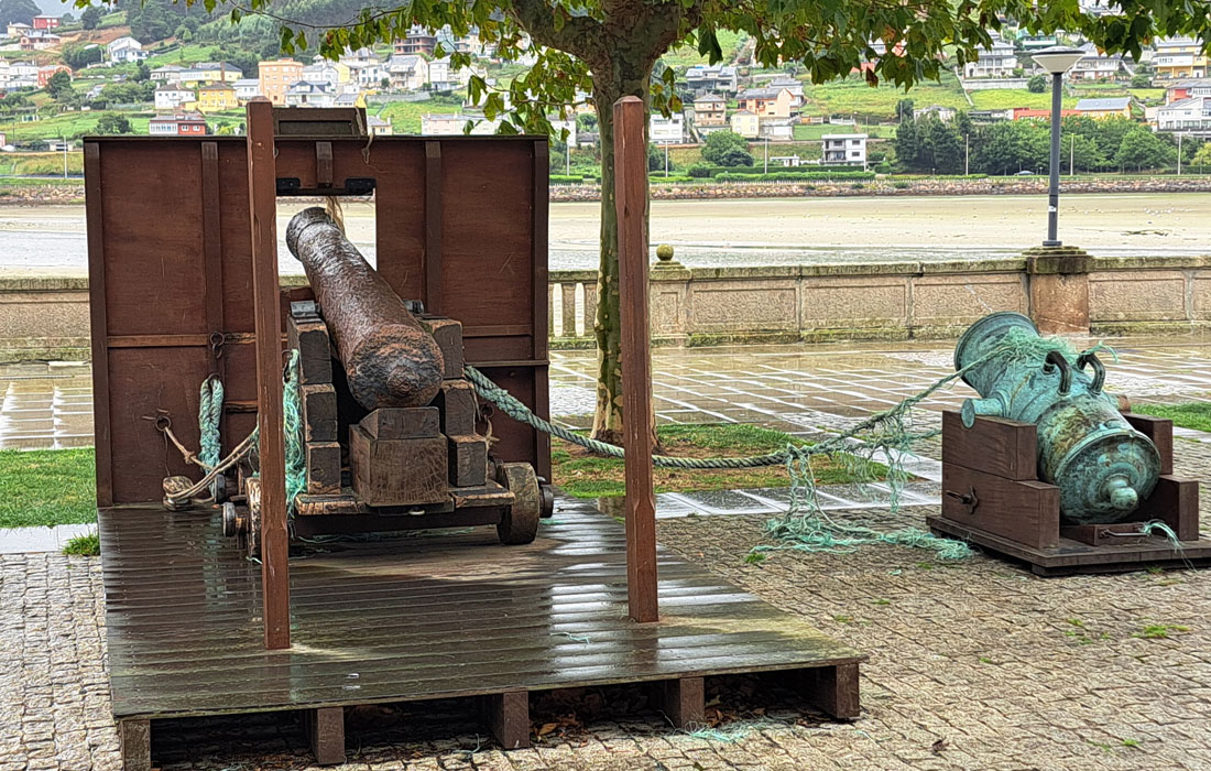 Viveiro-canon-conservacion-patrimonio