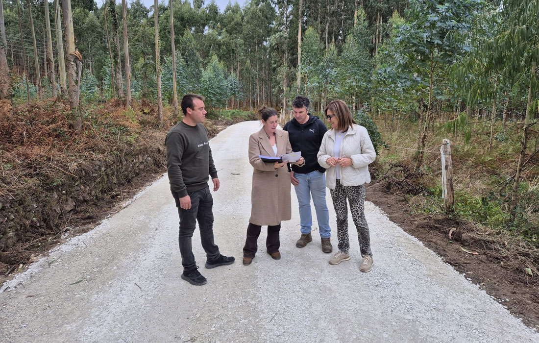 Cervo-camino-EspiNeirido-obras-2025