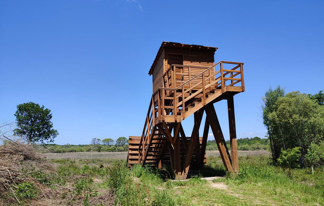 miradoiro-aves-ruta-lagoa-cospeito